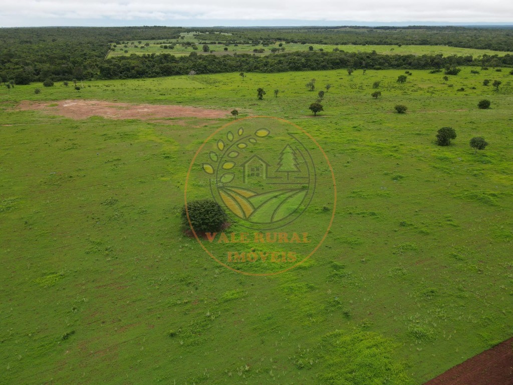Fazenda - Foto 2