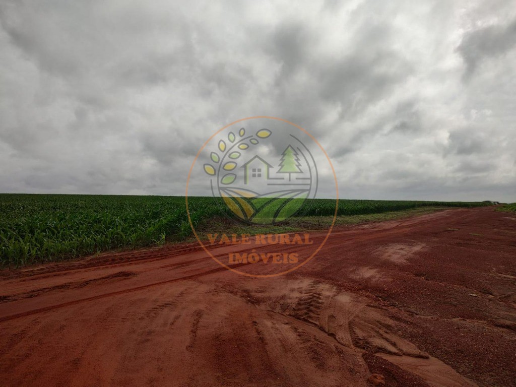 Fazenda - Foto 17