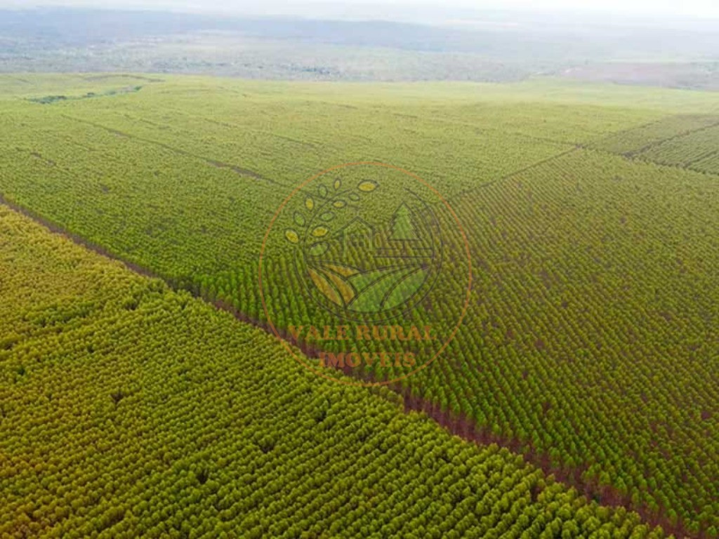 Fazenda, 4 quartos - Foto 4