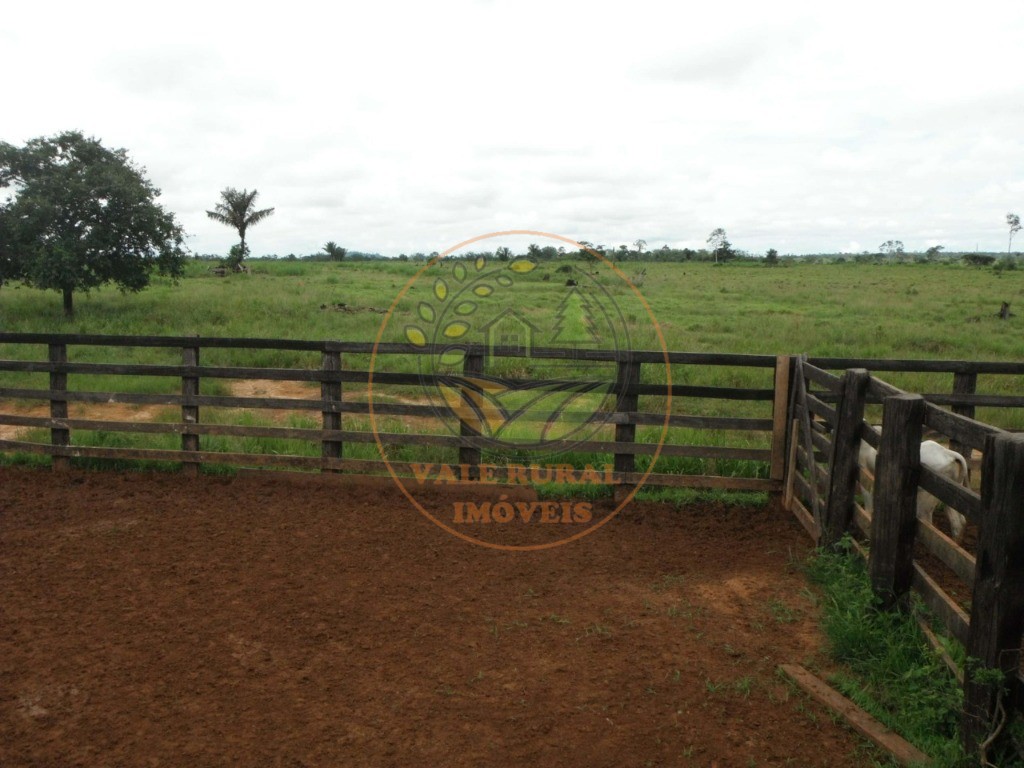 Fazenda, 1 quarto - Foto 4