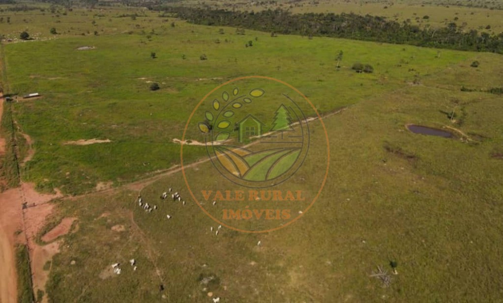 Fazenda, 1 quarto - Foto 33