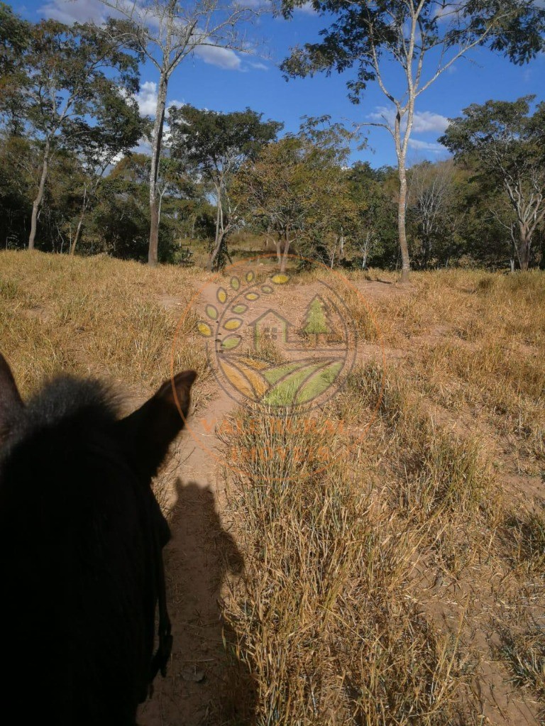 Fazenda - Foto 13