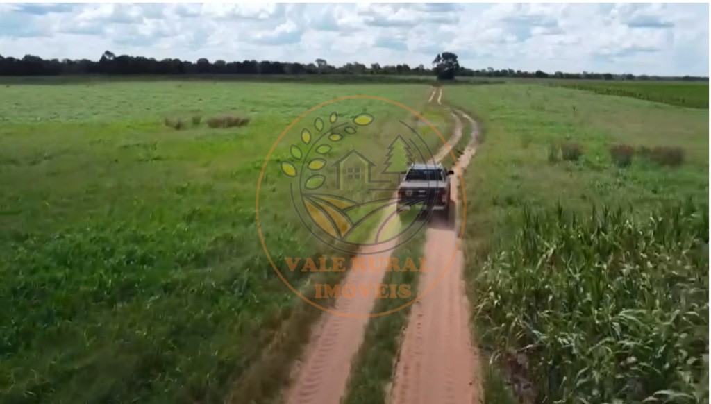 Fazenda, 4 quartos - Foto 6
