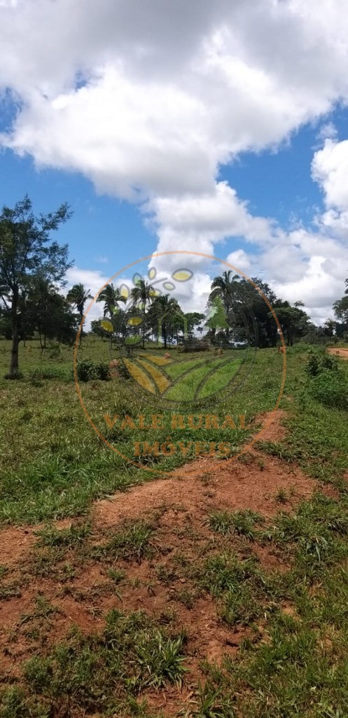 Fazenda - Foto 3