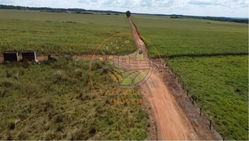 Fazenda, 4 quartos - Foto 15