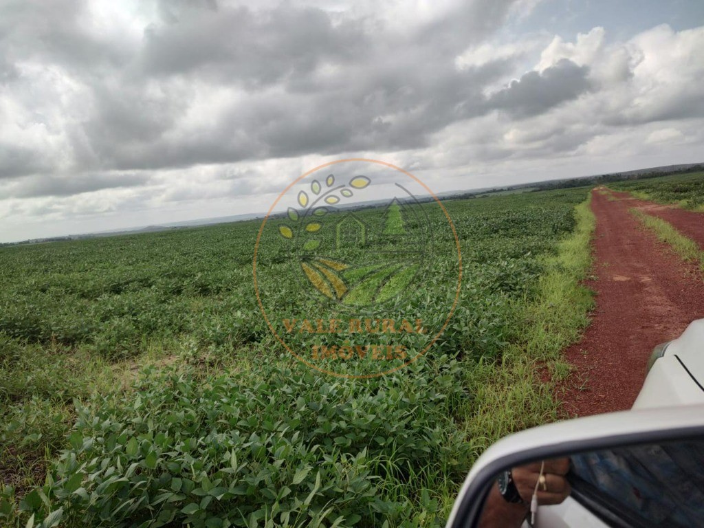 Fazenda - Foto 23