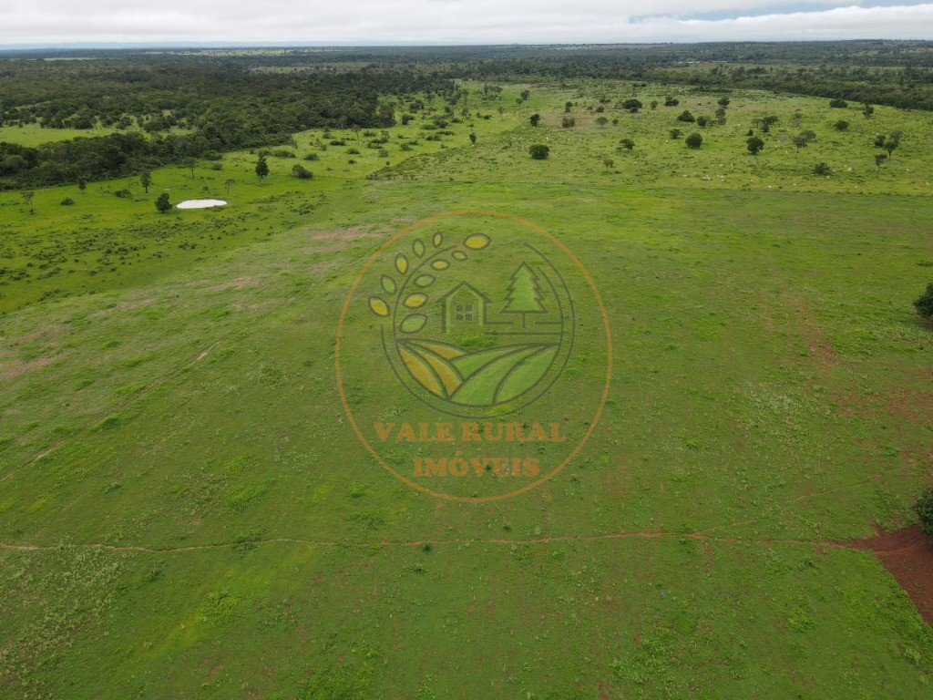 Fazenda - Foto 7