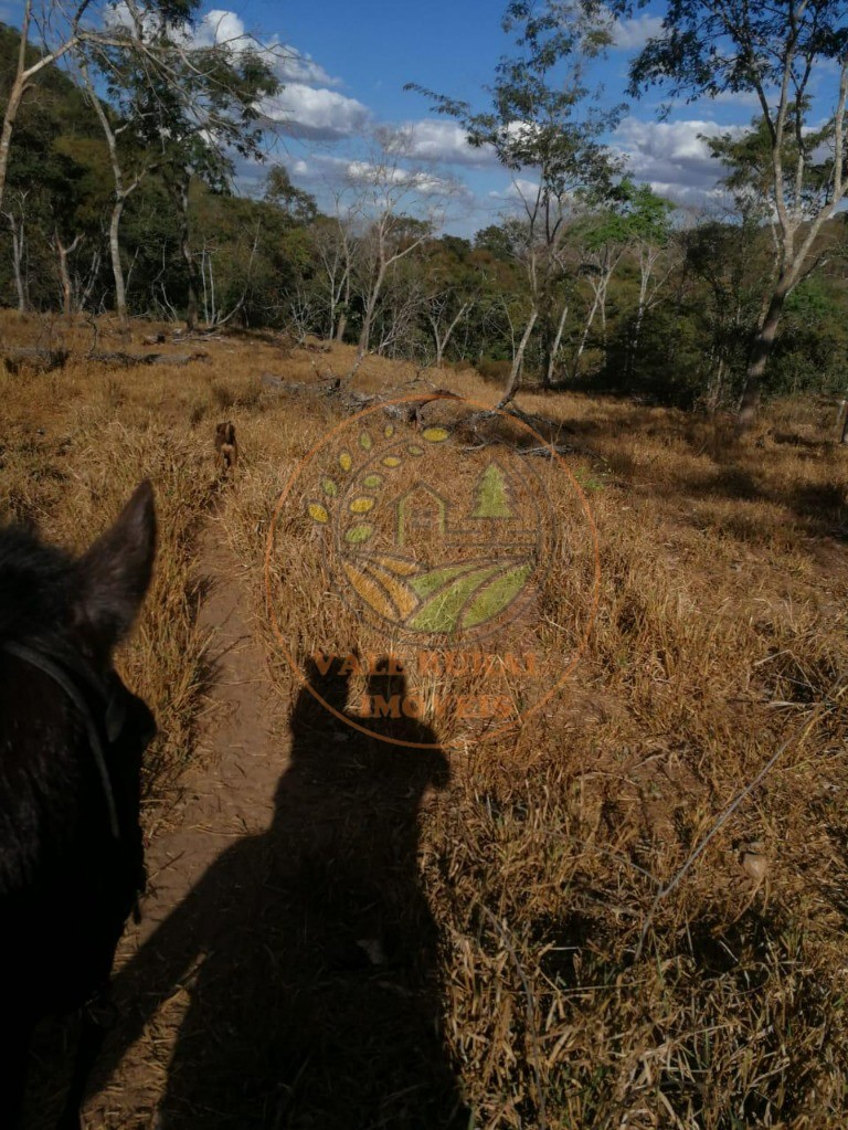 Fazenda - Foto 3