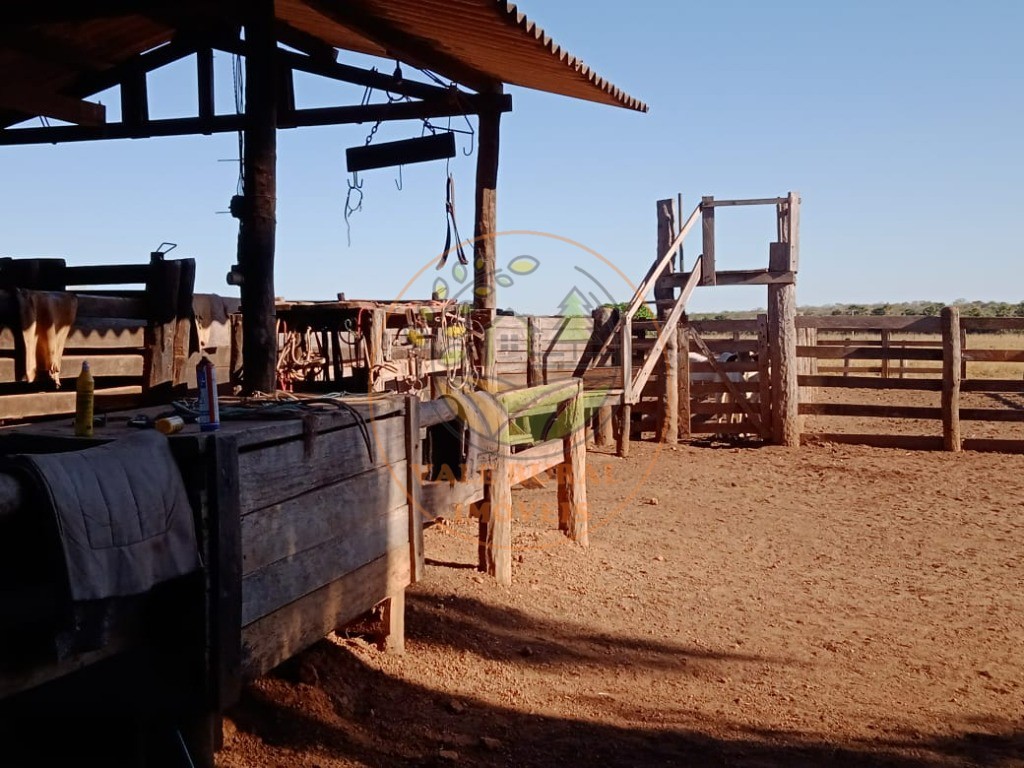 Fazenda - Foto 6