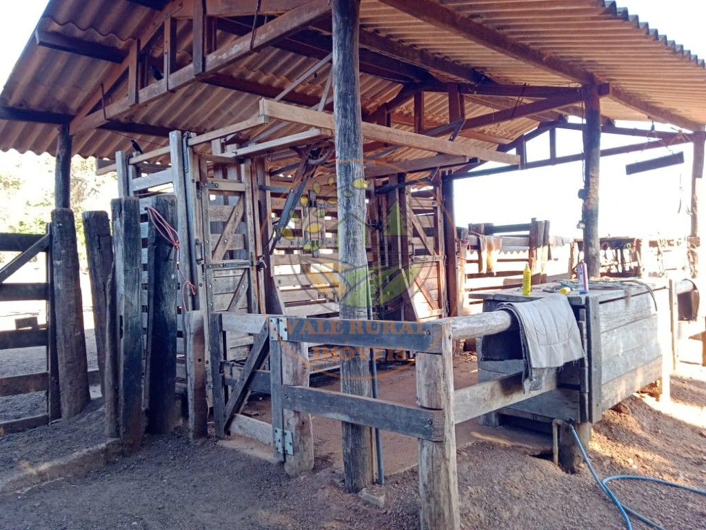 Fazenda - Foto 7