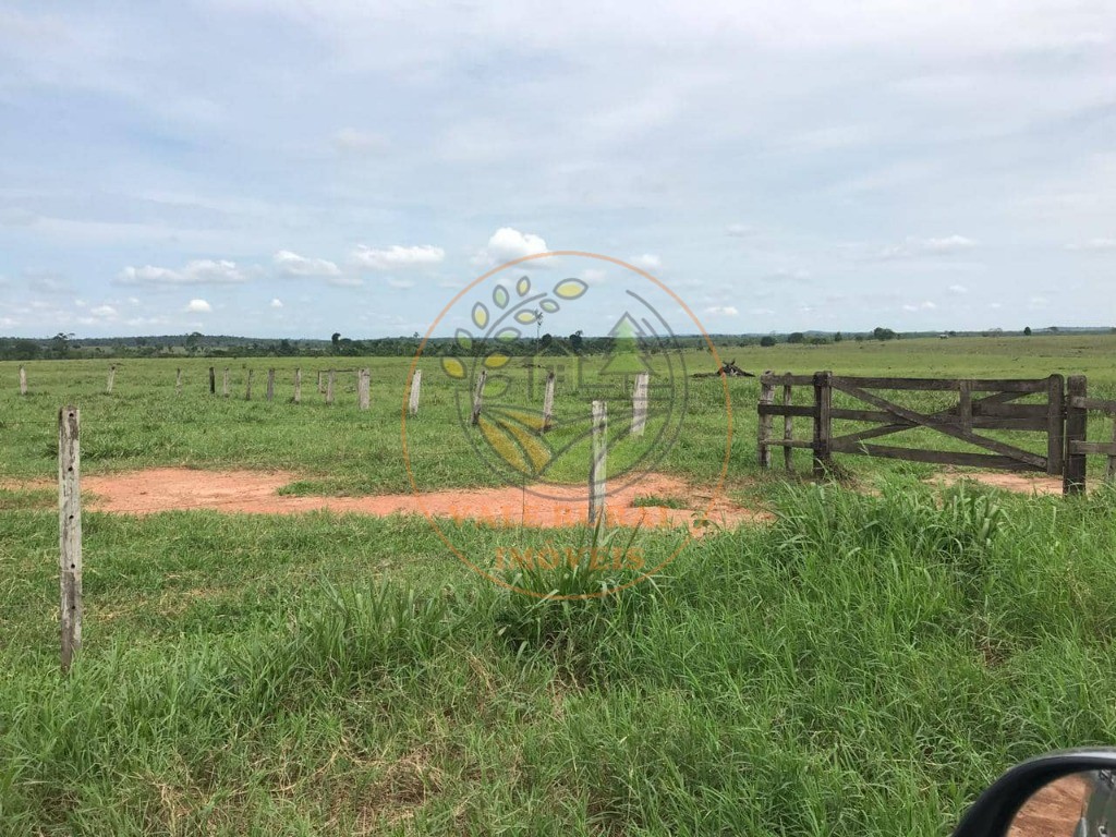 Fazenda, 1 quarto - Foto 42
