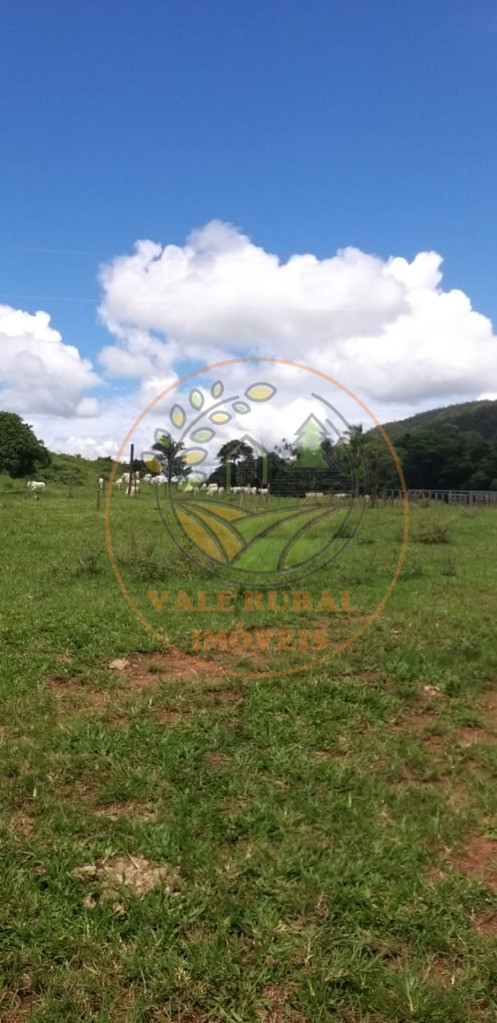 Fazenda - Foto 9