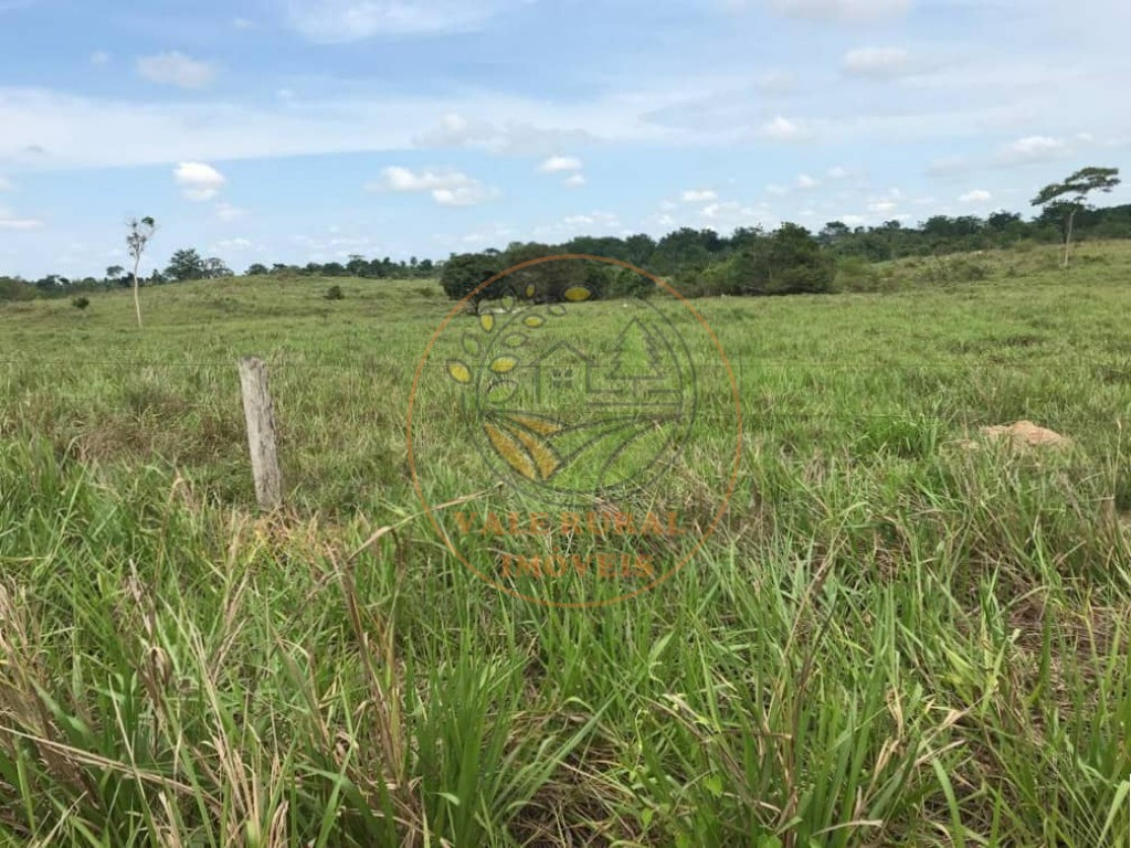 Fazenda, 1 quarto - Foto 24