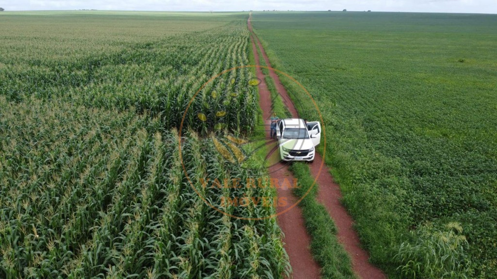 Fazenda - Foto 10