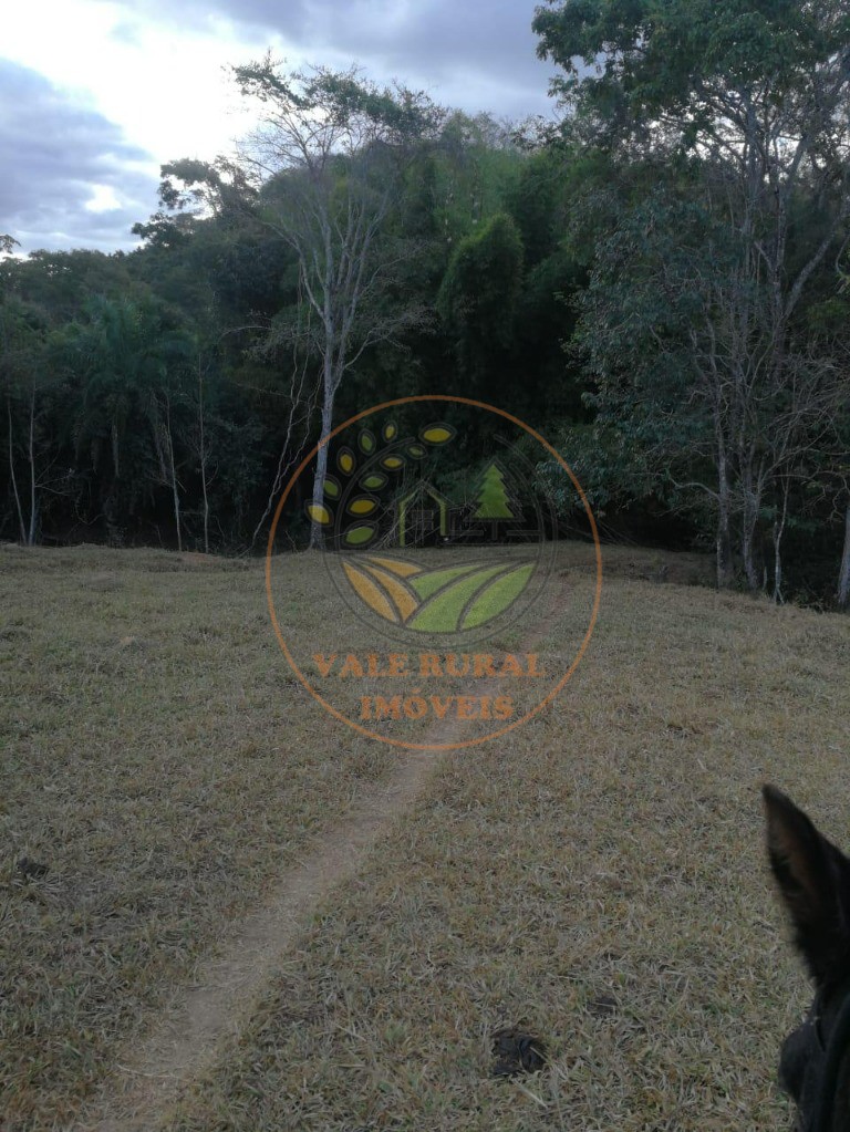 Fazenda - Foto 16