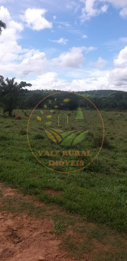 Fazenda - Foto 14