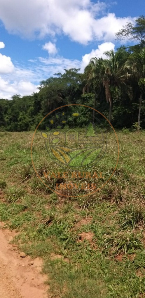 Fazenda - Foto 6