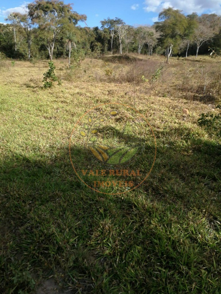 Fazenda - Foto 9