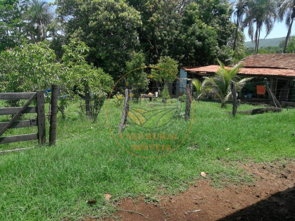 Fazenda - Foto 21