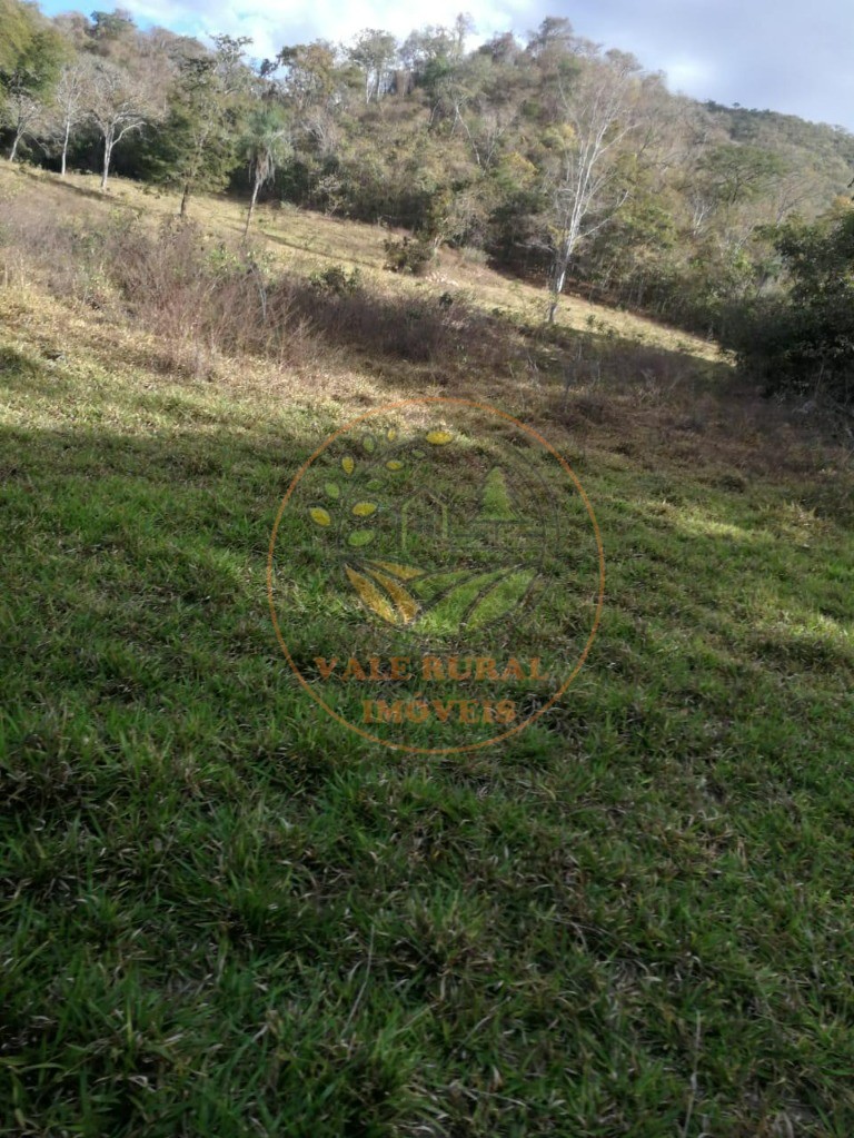 Fazenda - Foto 10