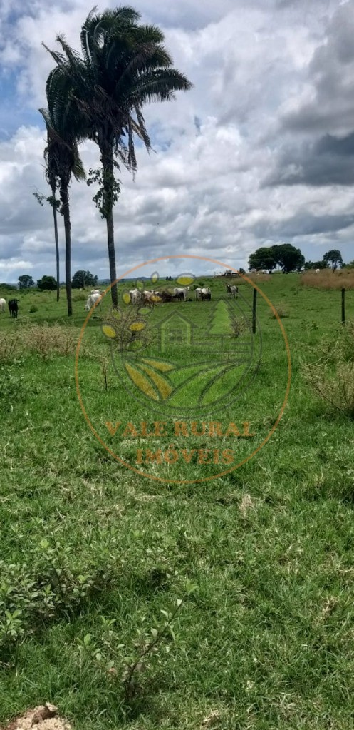 Fazenda - Foto 1