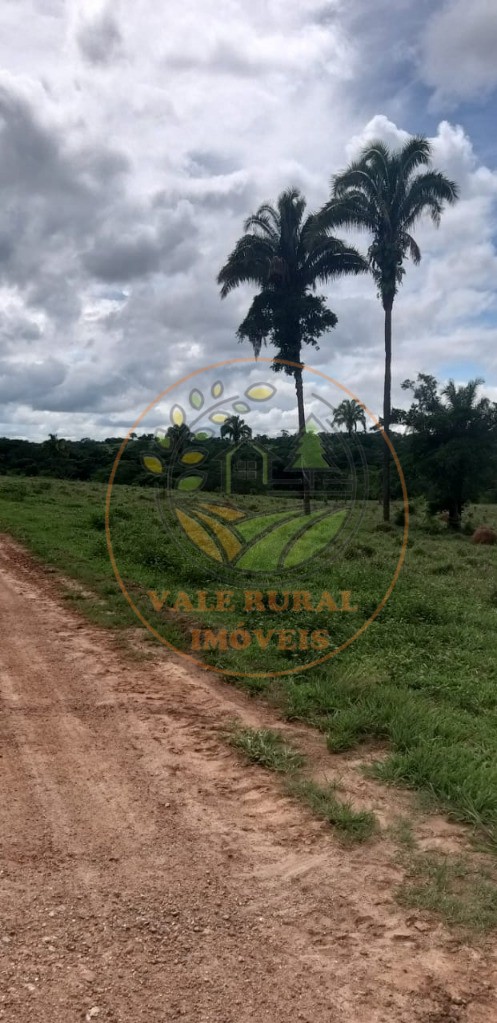 Fazenda - Foto 12