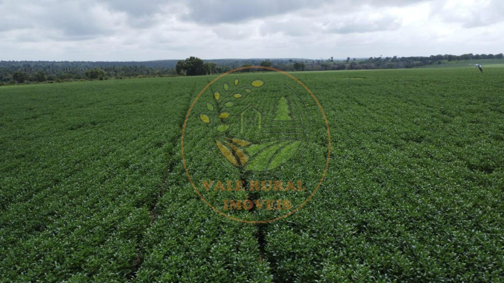 Fazenda - Foto 7