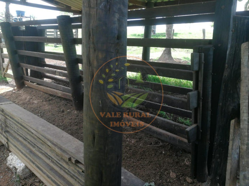 Fazenda - Foto 24