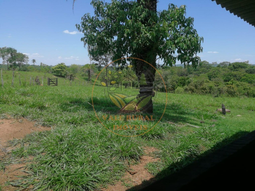 Fazenda - Foto 25