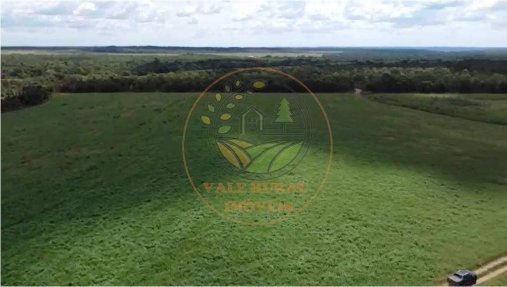 Fazenda, 4 quartos - Foto 8