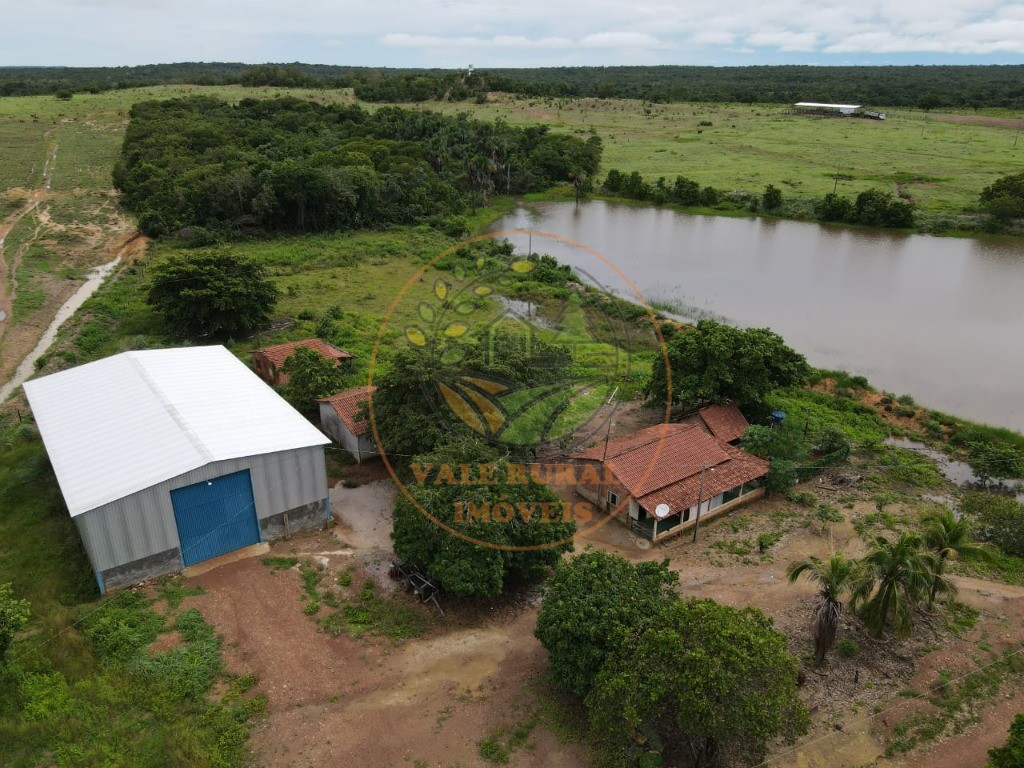 Fazenda - Foto 4