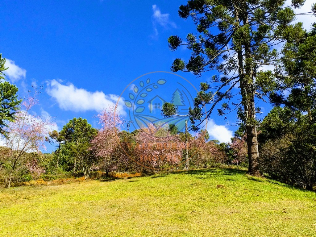 Fazenda - Foto 25