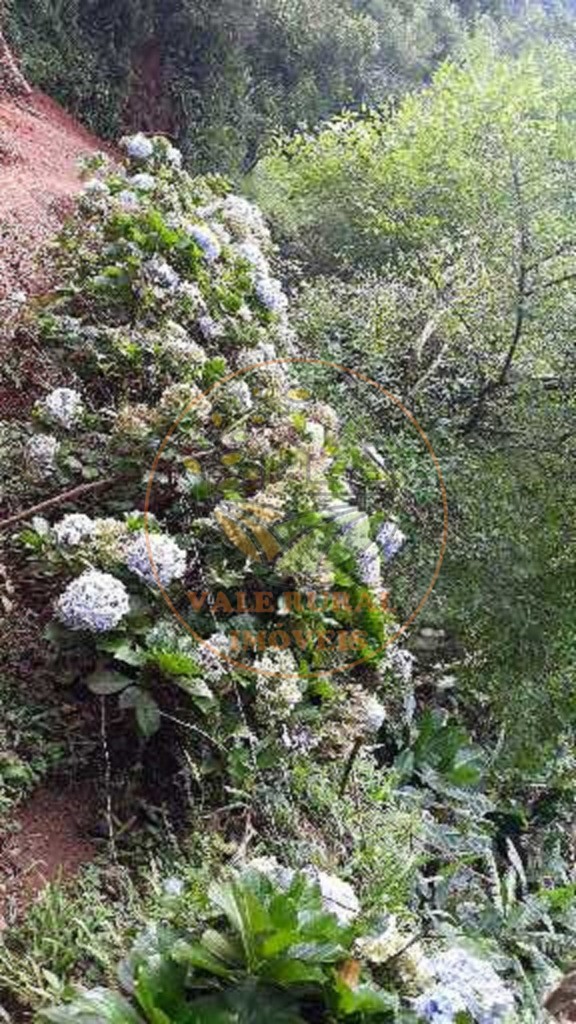 Fazenda - Foto 12