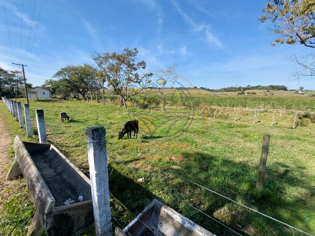Fazenda, 3 quartos - Foto 48