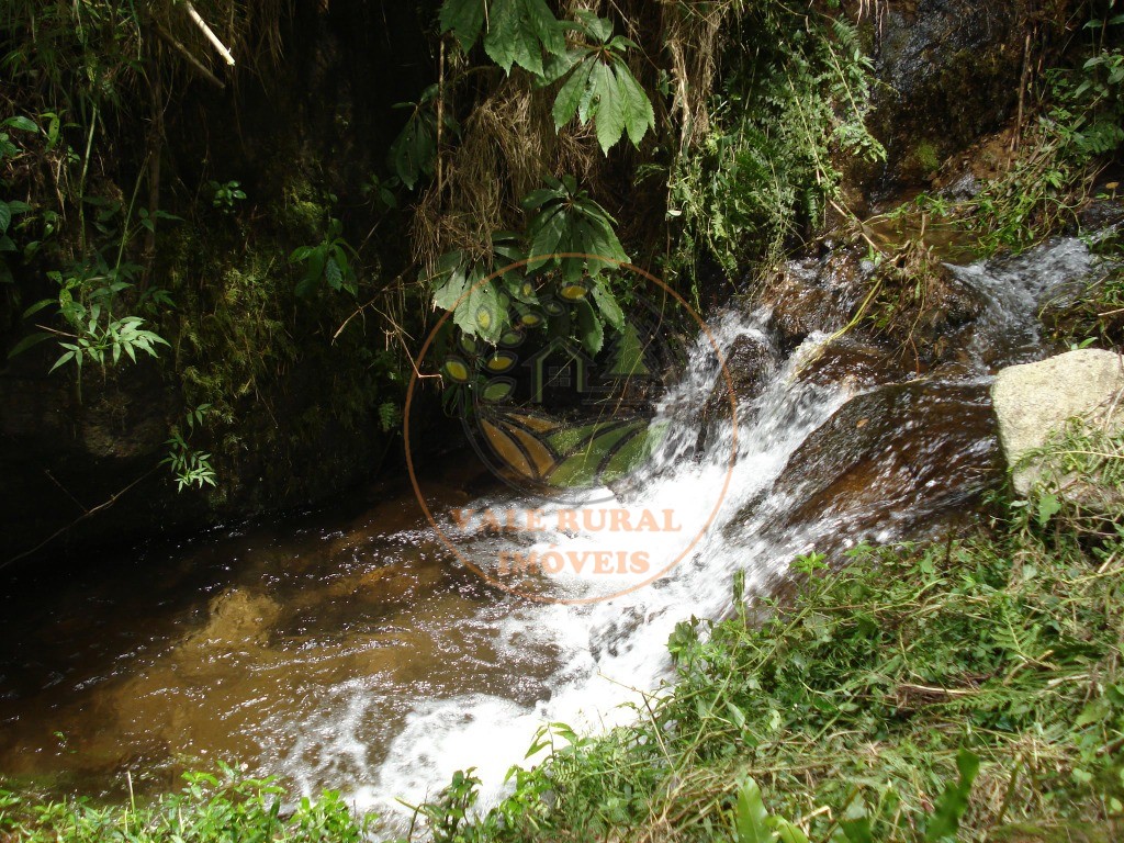 Fazenda - Foto 37