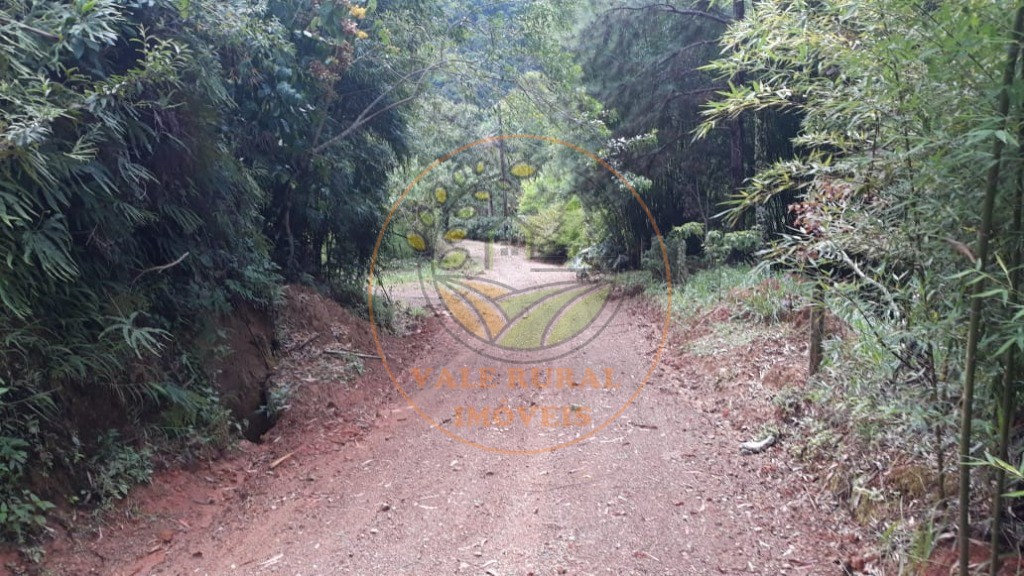 Fazenda - Foto 3
