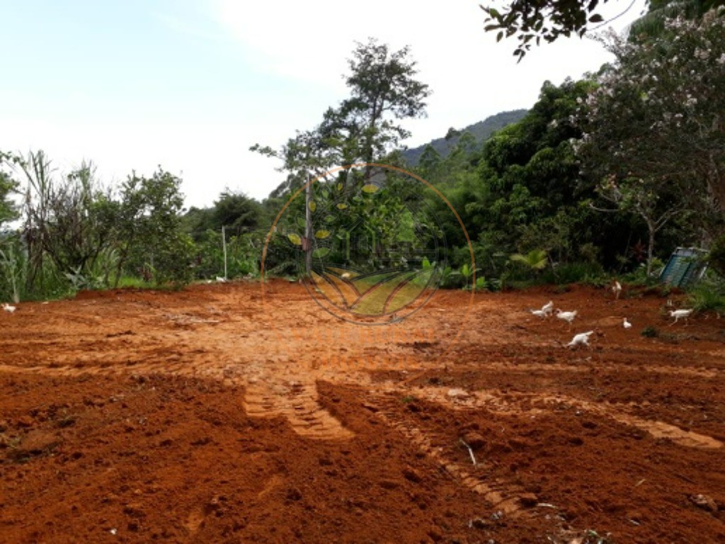 Fazenda - Foto 18