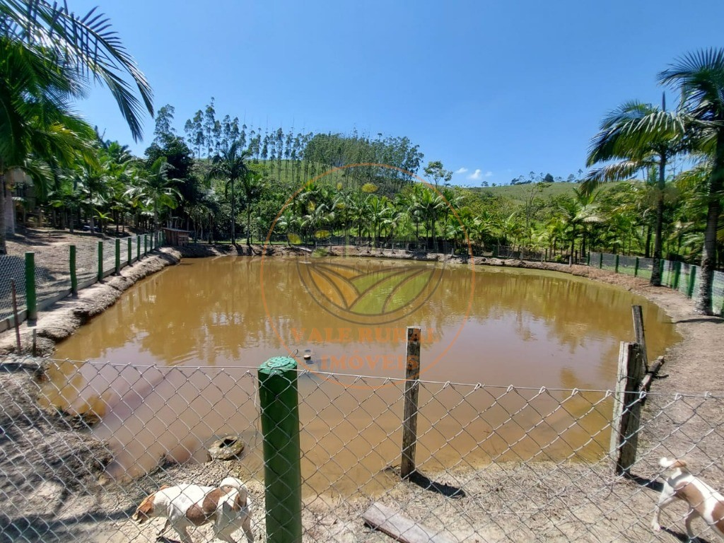 Sítio, 2 quartos, 2 m² - Foto 16