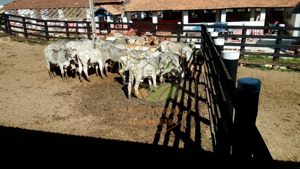 Fazenda, 2 quartos - Foto 25