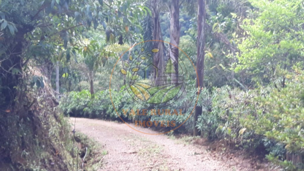 Fazenda - Foto 9