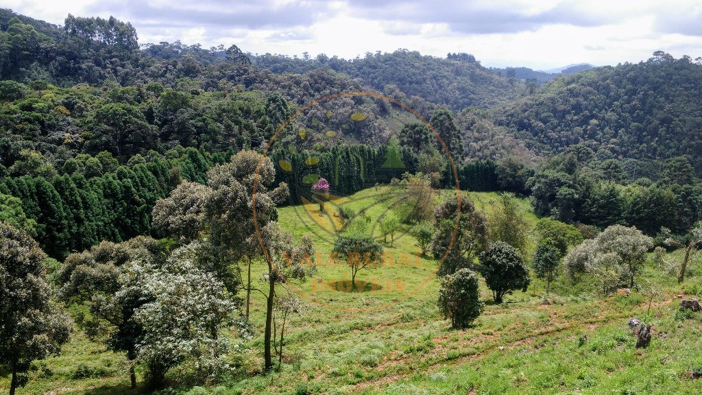 Fazenda - Foto 35