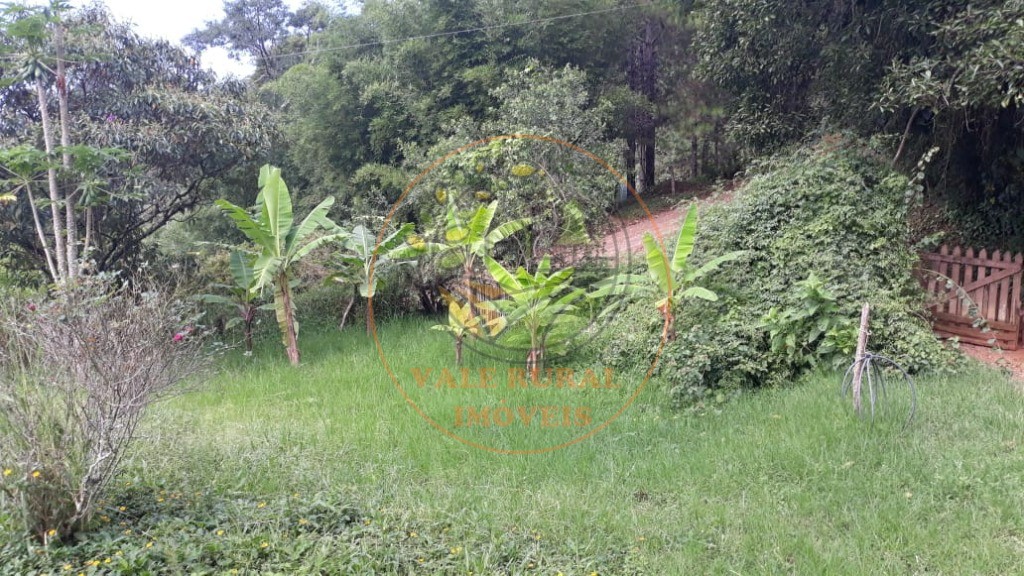 Fazenda - Foto 5