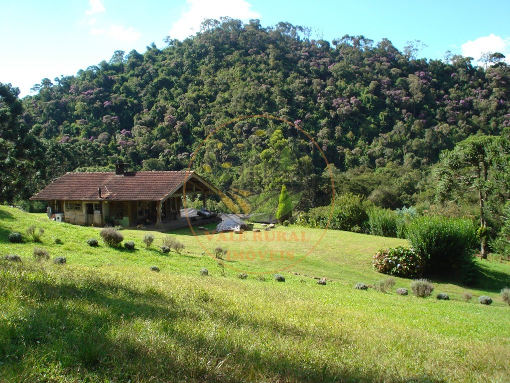 Fazenda - Foto 29