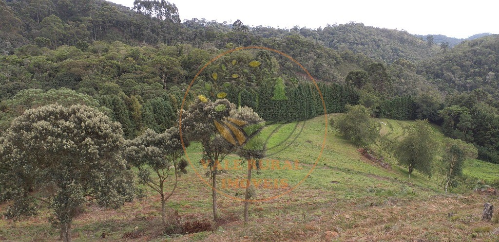 Fazenda - Foto 28