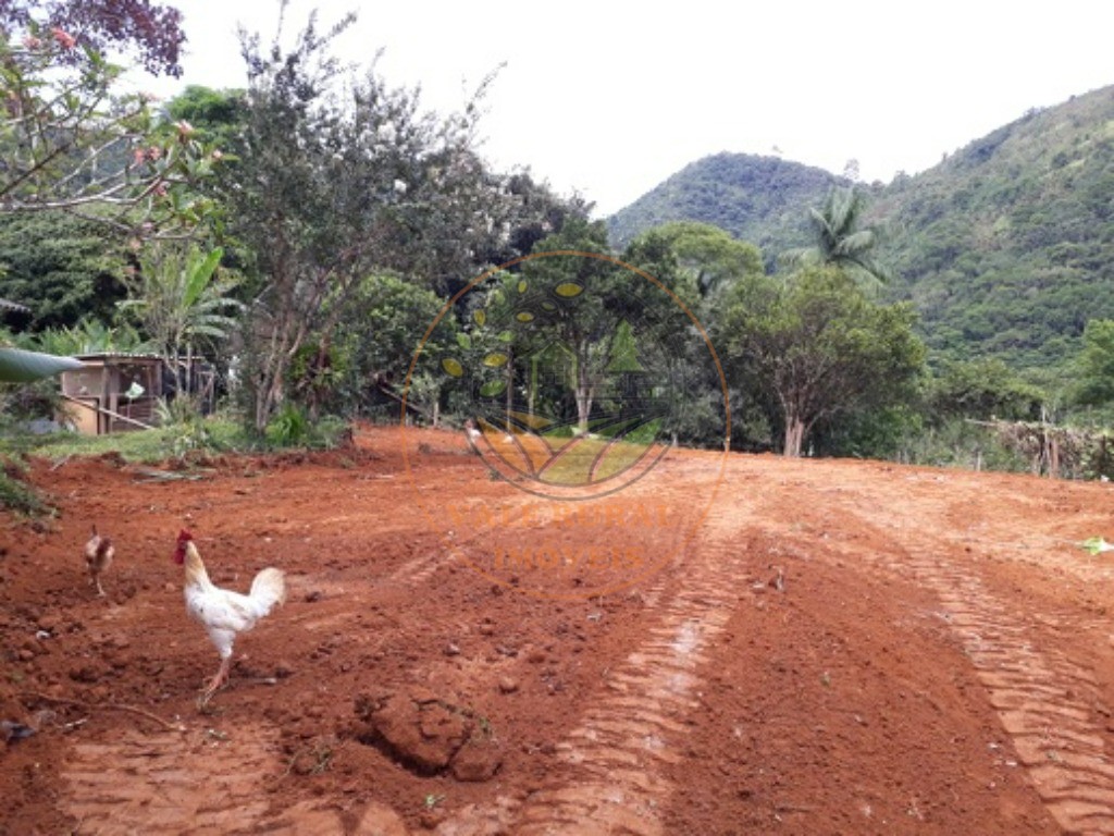 Fazenda - Foto 20