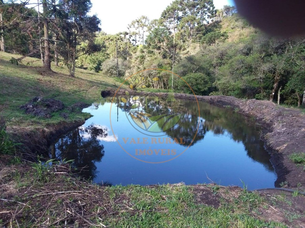 Fazenda - Foto 36