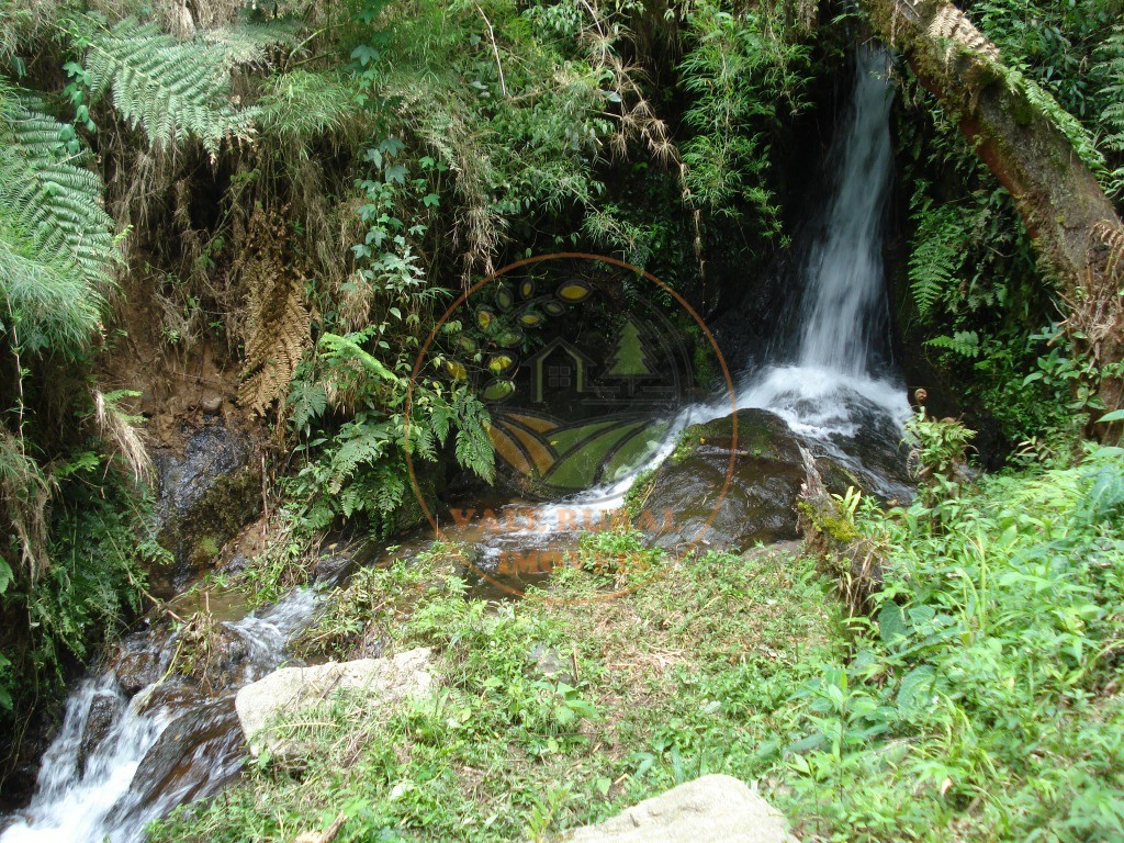 Fazenda - Foto 31