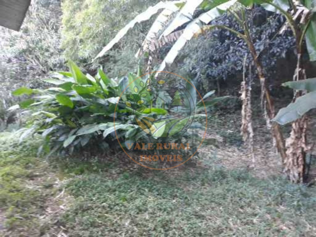Fazenda - Foto 7