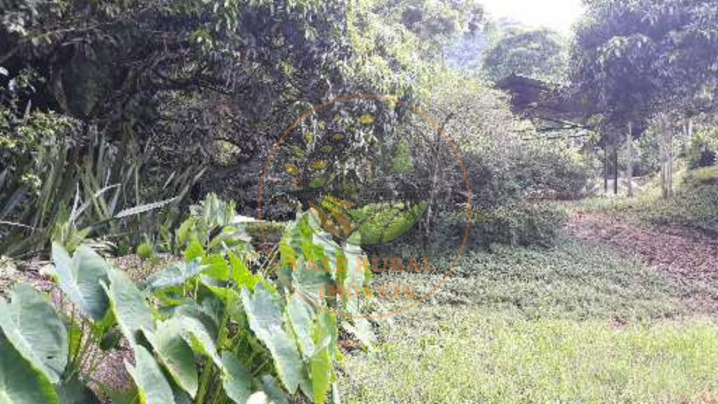 Fazenda - Foto 13