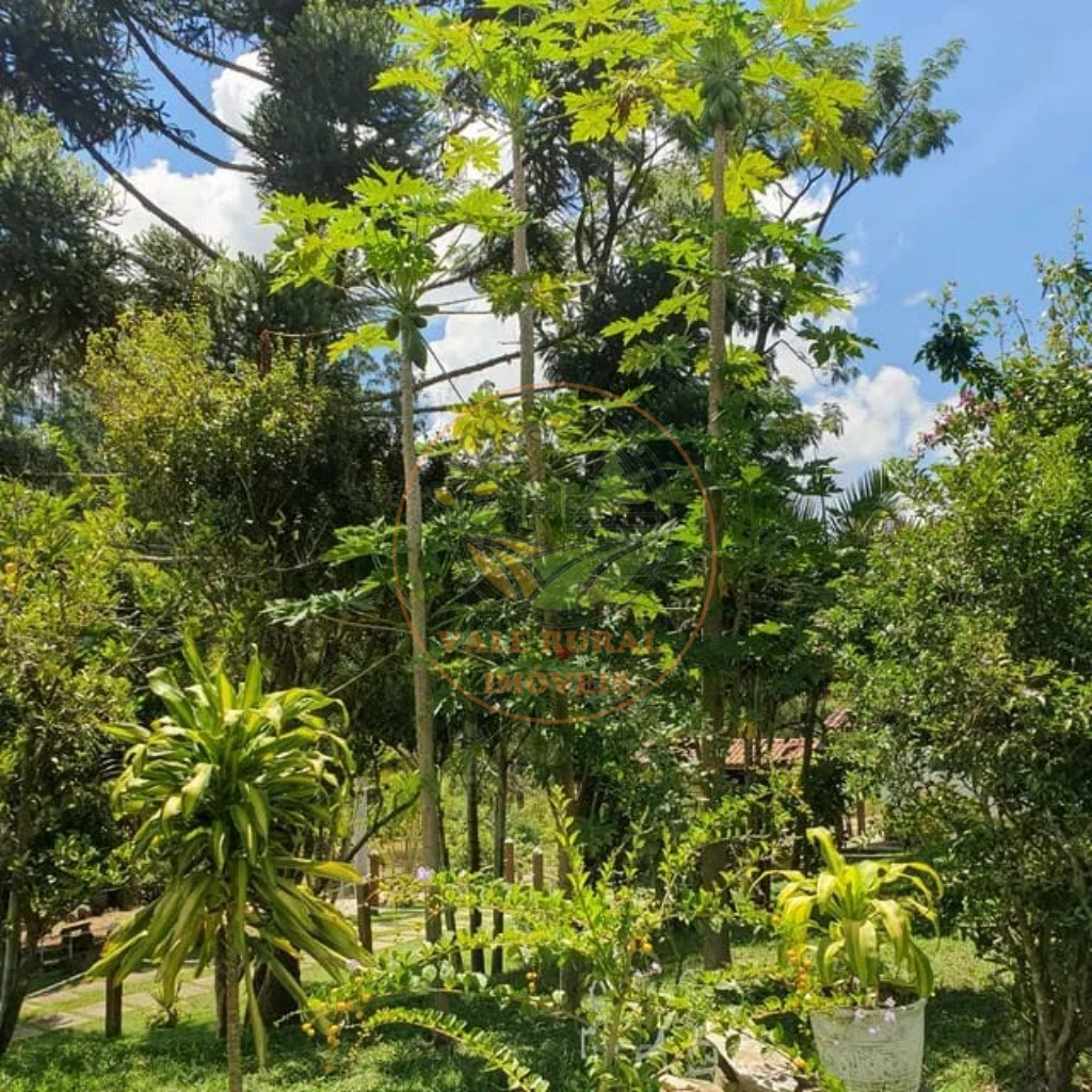 Sítio, 3 quartos, 43000 m² - Foto 13